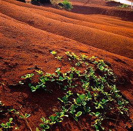 《极限竞速：地平线5》Rally Adventure将于3月底开放！